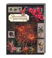 591251_Экзотические растения