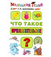 605853_Что такое прилагательное?