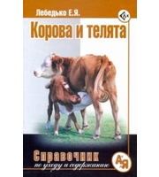 594747_Корова и телята