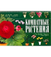 590674_Комнатные растения.  100 самых популярных