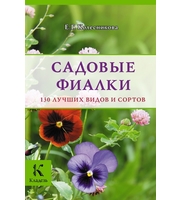 589231_Садовые фиалки