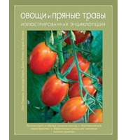 589503_Овощи и пряные травы.  Иллюстрированная энциклопедия