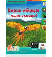 604107_3D Boom Какие птицы самые красивые?