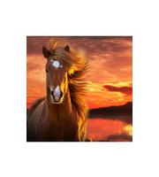 Картина из страз 30х40см. Дикая лошадь на закате. с подрамником, с полным заполнением  (25 цв. )