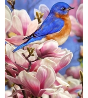 Картина из страз 40х50см. Красивая птичка на цветущей ветке. с подрамником, с полн. заполнением  (29 цв. )
