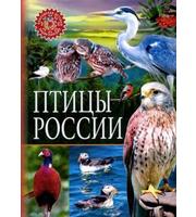 604722_ПДЭ. Птицы России