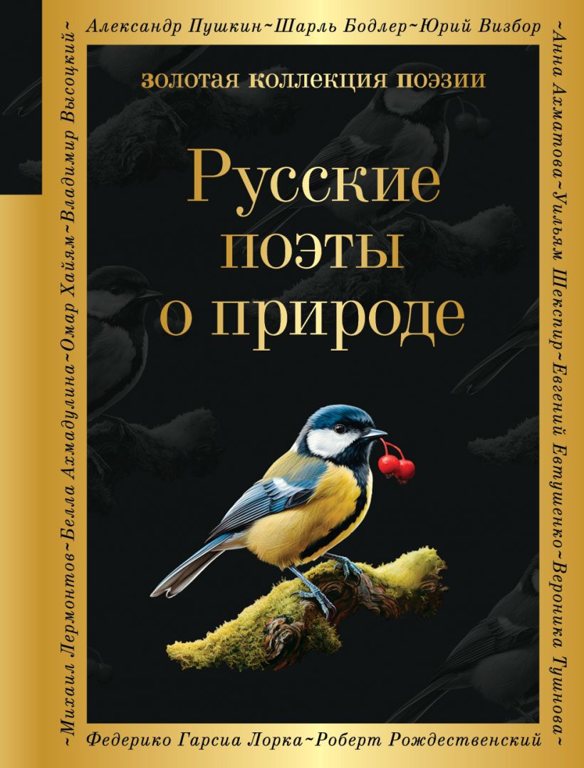 699433_Русские поэты о природе