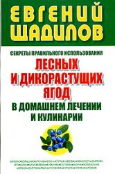 598921_Щадилов (тв) Секреты правильного использования лесных и дикораст. ягод