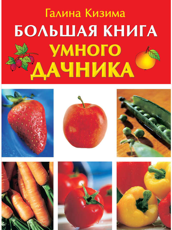 719982_Кизима. Бол. книга умного дачника (под)