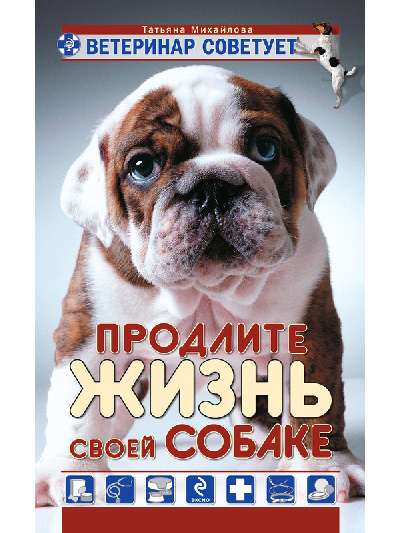 587264_Ветеринар советует.  Продлите жизнь своей собаке