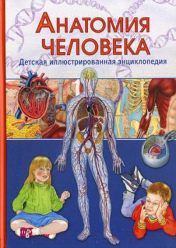 Анатомия человека.  Детская иллюстрированная энциклопедия.  Гуиди В.