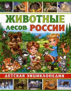 Животные лесов России.  Детская энциклопедия