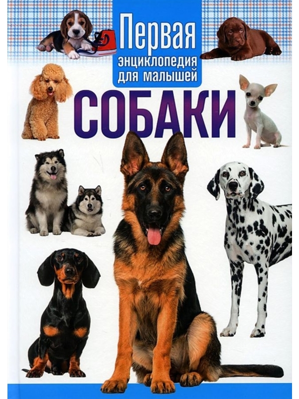 Собаки. Первая энциклопедия для малышей